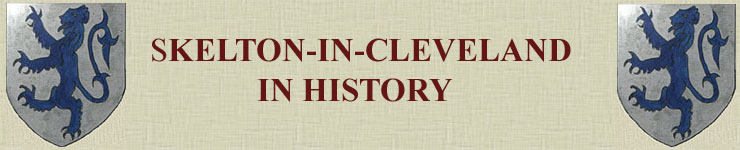 Link to Skelton-in-Cleveland in History (access key = x)